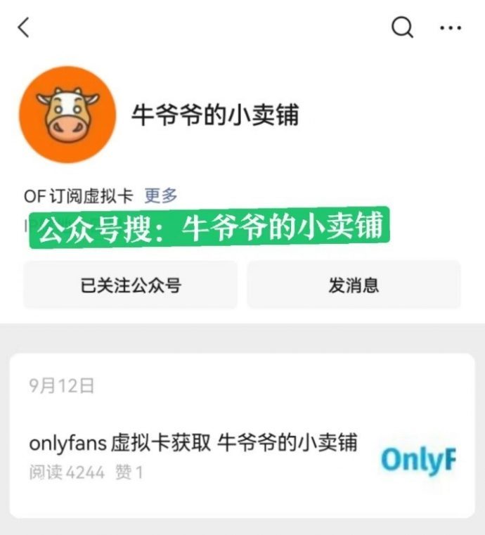 onlyfans虚拟信用卡订阅教程
